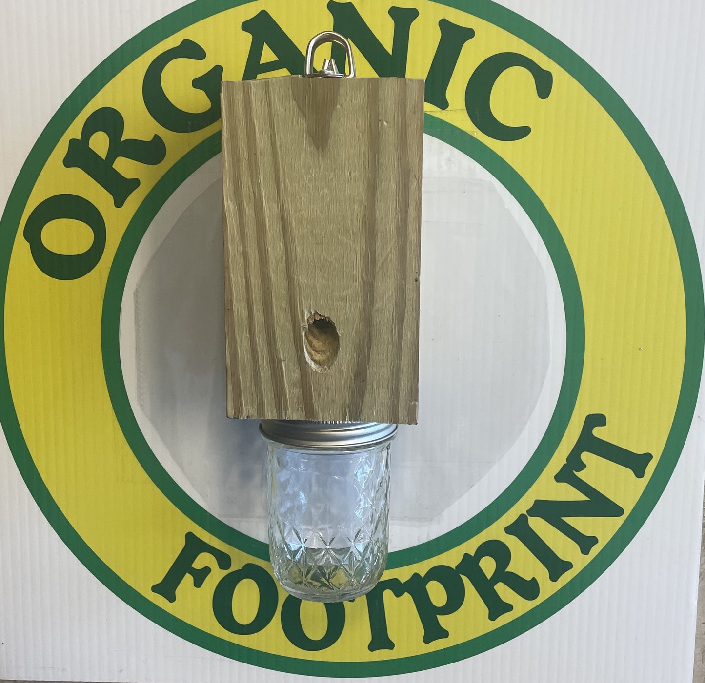 Carpenter Bee Trap